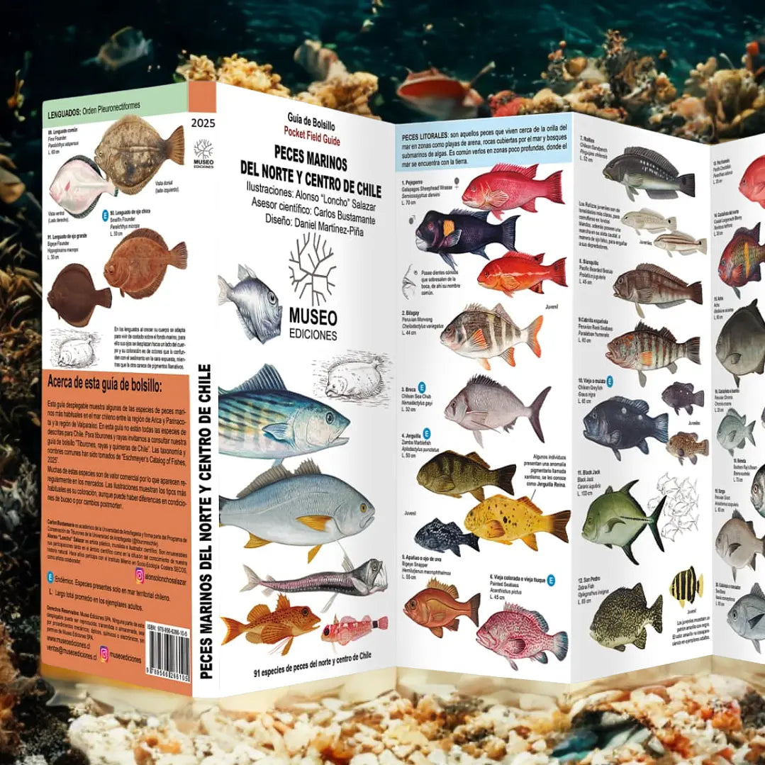 GUÍA DE PECES
