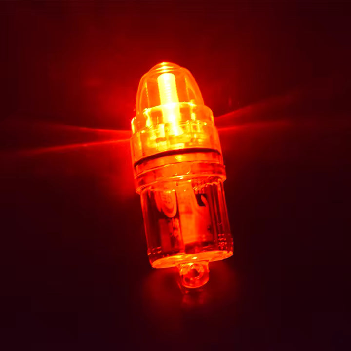 LUZ TROMPITO PESCA JIBIA