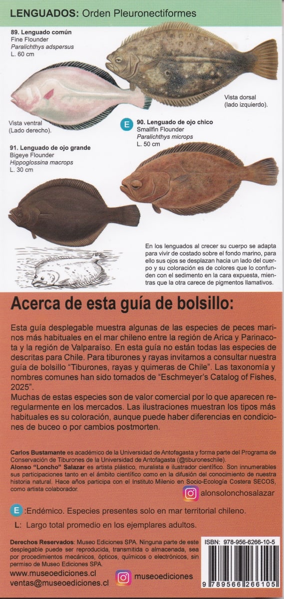 GUÍA DE PECES